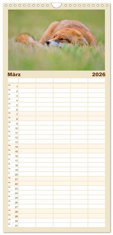 Produktbild: Familienplaner 2026 - Auf den Spuren der Stadtf&uuml;chse mit 5 Spalten (Wandkalender, 21 x 45 cm) CALVENDO