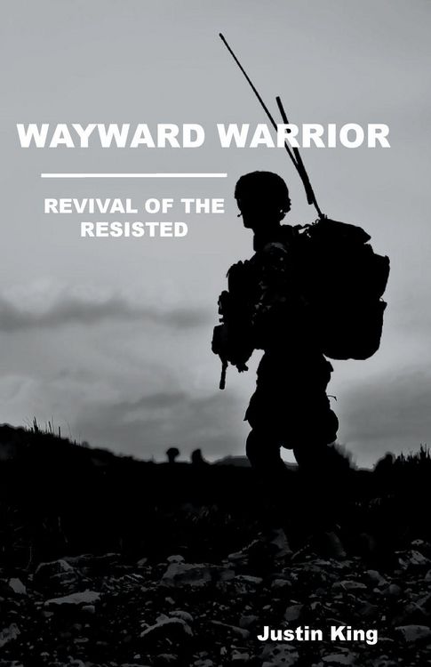 Produktbild: Wayward Warrior