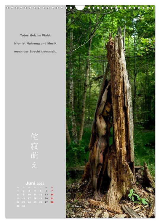 Produktbild: wabi sabi moe &mdash; bewundernswert verg&auml;nglich erotisch &mdash; Akt/Bodypainting (Wandkalender 2026 DIN A3 hoch), CALVENDO Monatskalender
