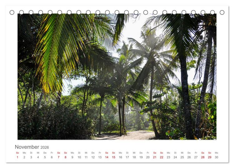 Produktbild: Costa Rica - unterwegs mit Julia Hahn (Tischkalender 2026 DIN A5 quer), CALVENDO Monatskalender