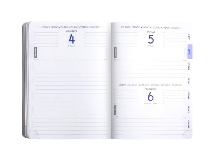 Produktbild: Sch&uuml;lerkalender Forum Samurai 2025/2026
