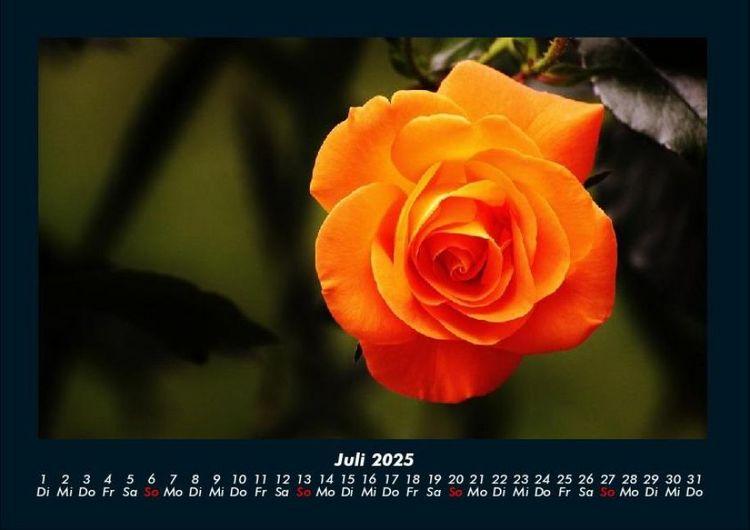 Produktbild: Blumenkalender 2025 Fotokalender DIN A4