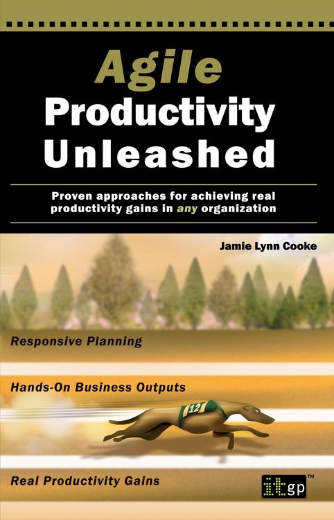 Produktbild: Agile Productivity Unleashed