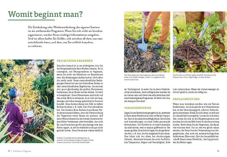 Produktbild: Pflanzengefl&uuml;ster