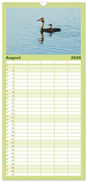Produktbild: Familienplaner 2026 - Heimische V&ouml;gel mit 5 Spalten (Wandkalender, 21 x 45 cm) CALVENDO