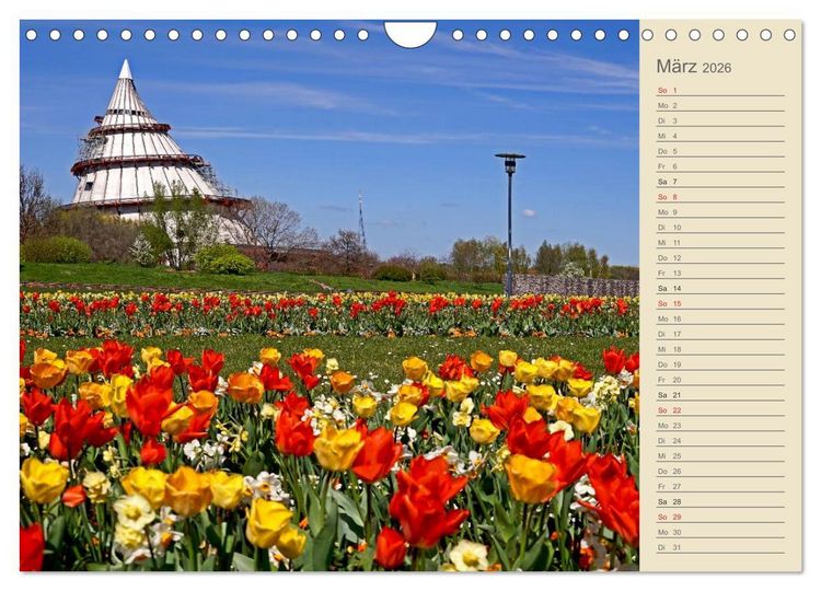 Produktbild: Magdeburg an der Elbe 2026 (Wandkalender 2026 DIN A4 quer), CALVENDO Monatskalender