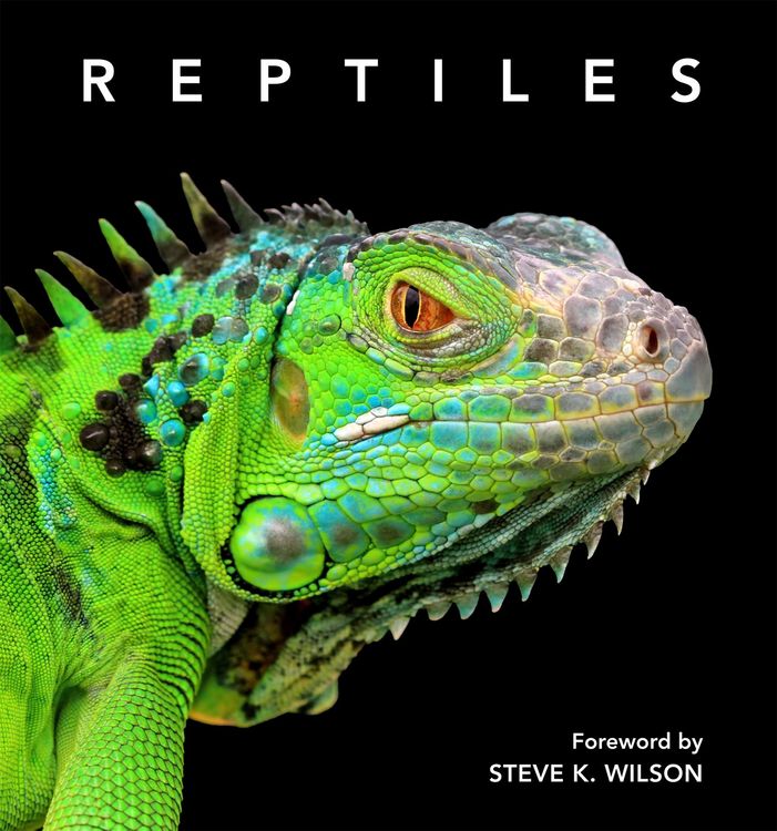 Produktbild: Reptiles