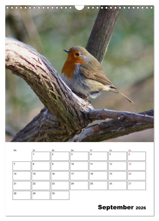 Produktbild: Heimische Singv&ouml;gel (Wandkalender 2026 DIN A3 hoch), CALVENDO Monatskalender
