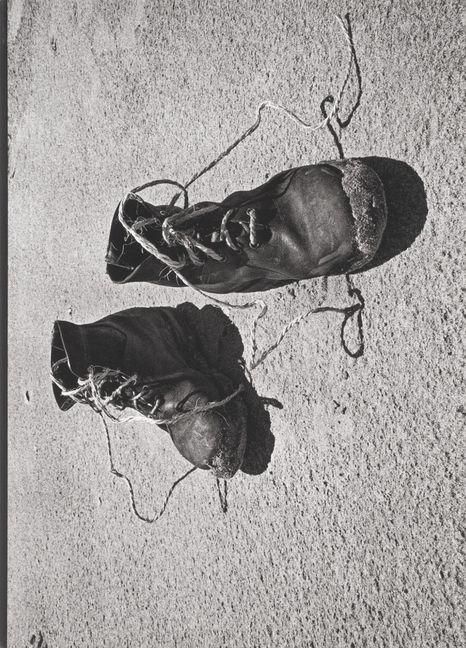 Produktbild: Josef Koudelka: Diaries