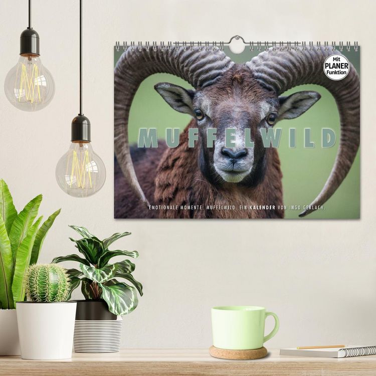 Produktbild: Emotionale Momente: Muffelwild. (Wandkalender 2026 DIN A4 quer), CALVENDO Monatskalender