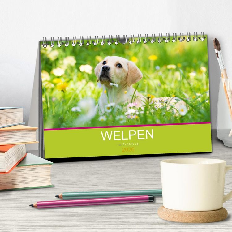 Produktbild: Welpen im Fr&uuml;hling (Tischkalender 2026 DIN A5 quer), CALVENDO Monatskalender