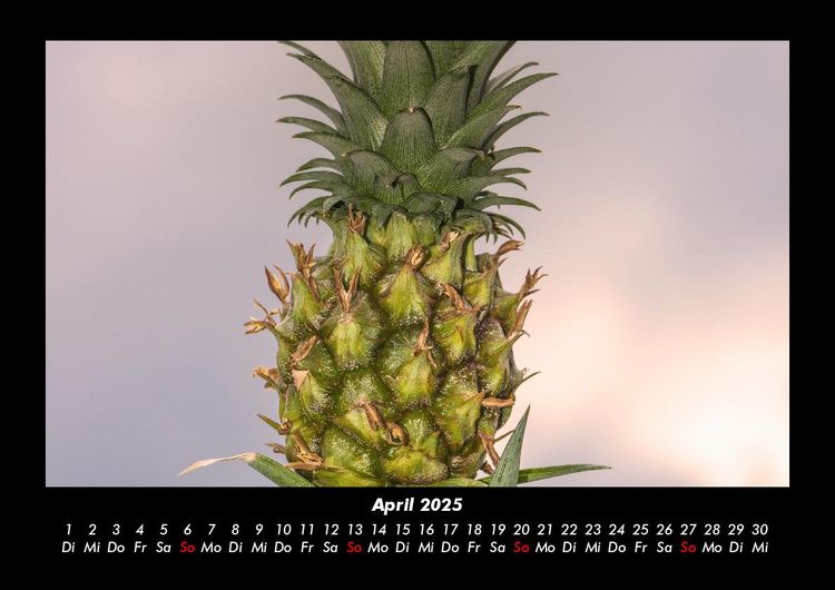 Produktbild: Obstkalender 2025 Fotokalender DIN A3