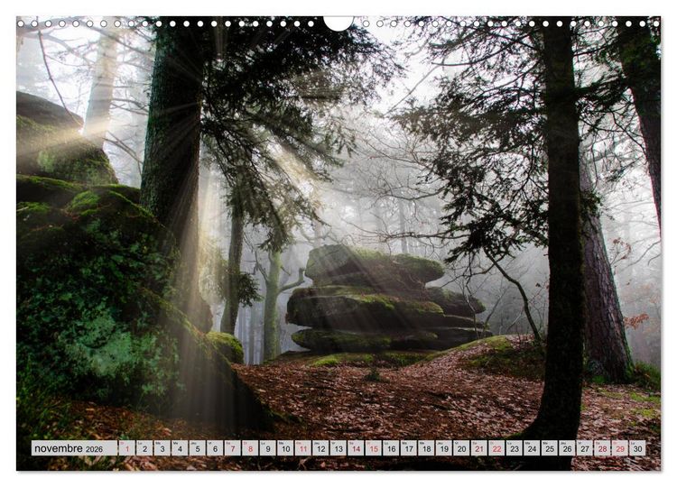 Produktbild: Splendeurs des Vosges (Calendrier mural 2026 DIN A3 vertical), CALVENDO calendrier mensuel