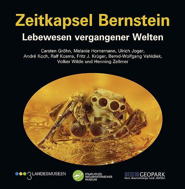 Produktbild: Zeitkapsel Bernstein &ndash; Lebewesen vergangener Welten