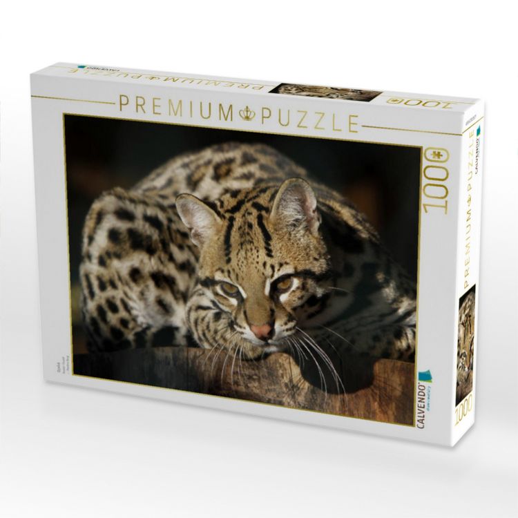 Produktbild: CALVENDO Puzzle Ozelot | 1000 Teile Lege-Gr&ouml;&szlig;e 64x48cm Foto-Puzzle f&uuml;r gl&uuml;ckliche Stunden