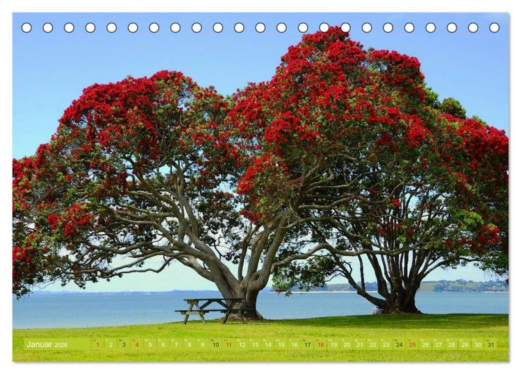 Produktbild: Neuseeland &bull; Impressionen (Tischkalender 2026 DIN A5 quer), CALVENDO Monatskalender