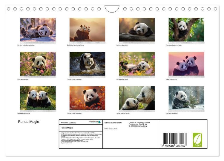 Produktbild: Panda Magie (Wandkalender 2027 DIN A4 quer), CALVENDO Monatskalender
