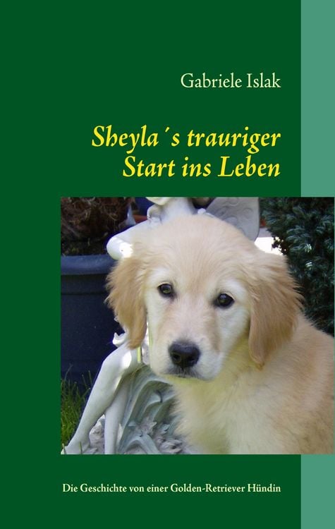Produktbild: Sheylas trauriger Start ins Leben