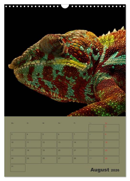 Produktbild: Minidrachen - Die kleinen Nachkommen der Urzeitmonster (Wandkalender 2026 DIN A3 hoch), CALVENDO Monatskalender