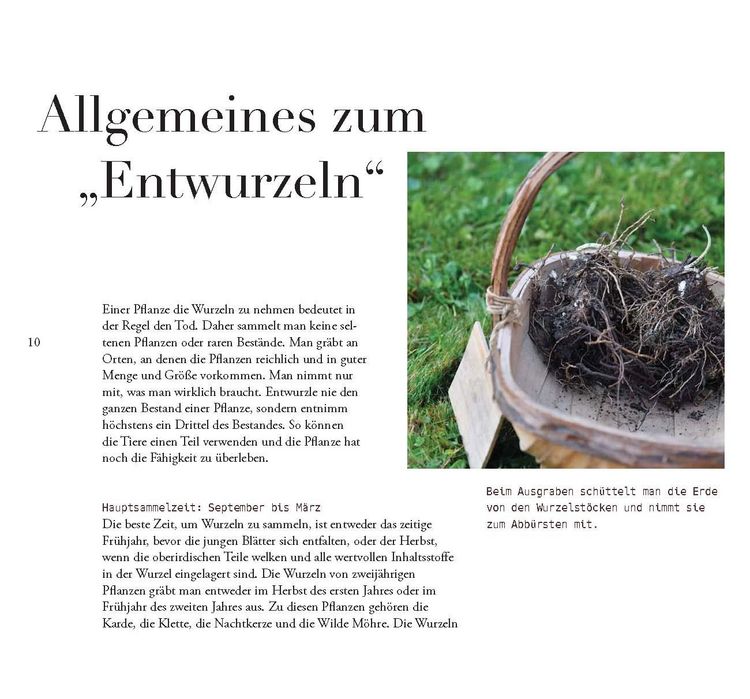 Produktbild: Wildkr&auml;uter, Handarbeit & Brauchtum