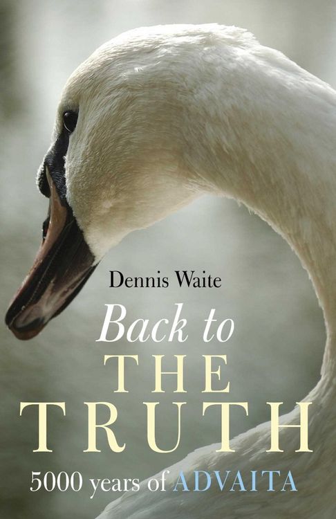 Produktbild: Back To The Truth
