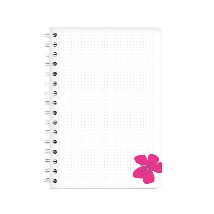 Produktbild: Ringbuch A5 Primel