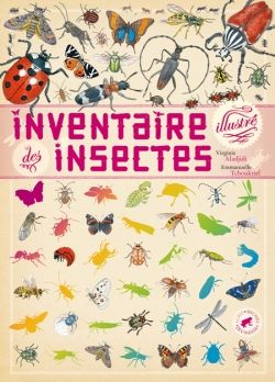 Produktbild: Inventaire illustr&eacute; des insectes