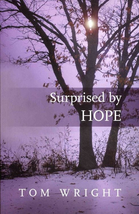 Produktbild: Surprised by Hope