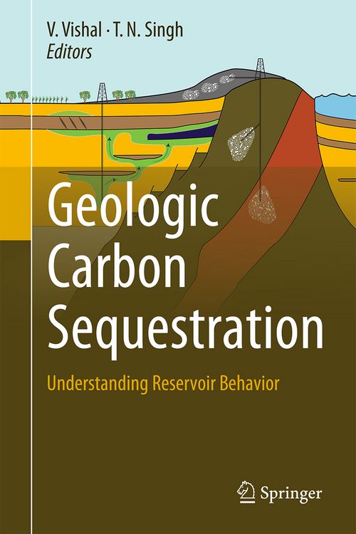 Produktbild: Geologic Carbon Sequestration