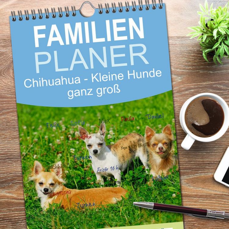 Produktbild: Familienplaner 2026 - Chihuahua - Kleine Hunde ganz gro&szlig; mit 5 Spalten (Wandkalender, 21 x 45 cm) CALVENDO