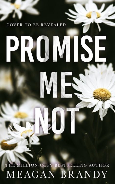 Produktbild: Promise Me Not