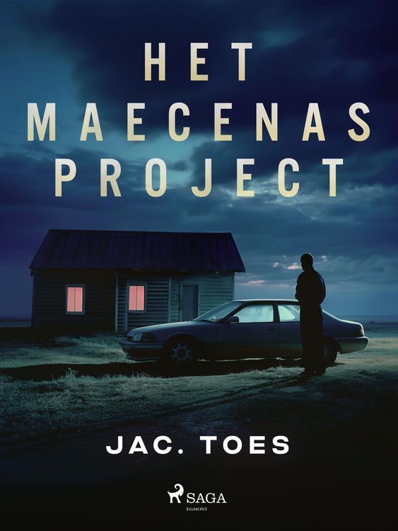 Produktbild: Het Maecenas-project