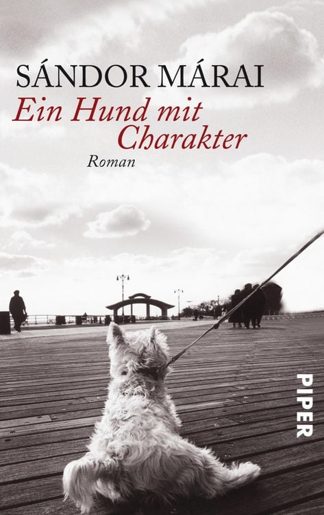 Produktbild: Ein Hund mit Charakter