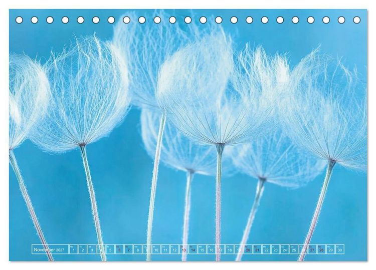 Produktbild: Lichtspiele der Natur (Tischkalender 2027 DIN A5 quer), CALVENDO Monatskalender