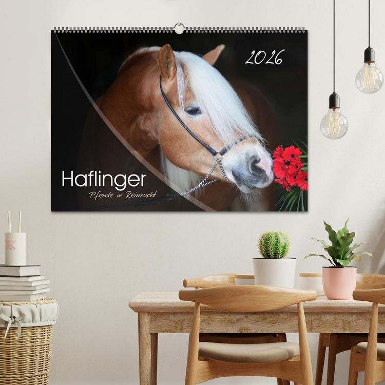 Produktbild: Haflinger-Pferde in Reinzucht (Wandkalender 2026 DIN A2 quer), CALVENDO Monatskalender