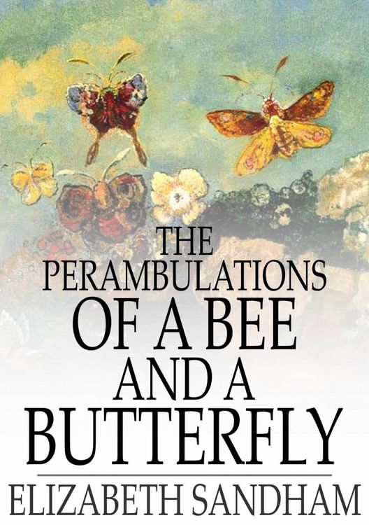 Produktbild: Perambulations of a Bee and a Butterfly