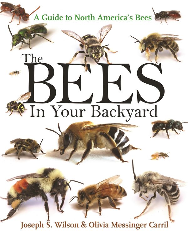 Produktbild: The Bees in Your Backyard