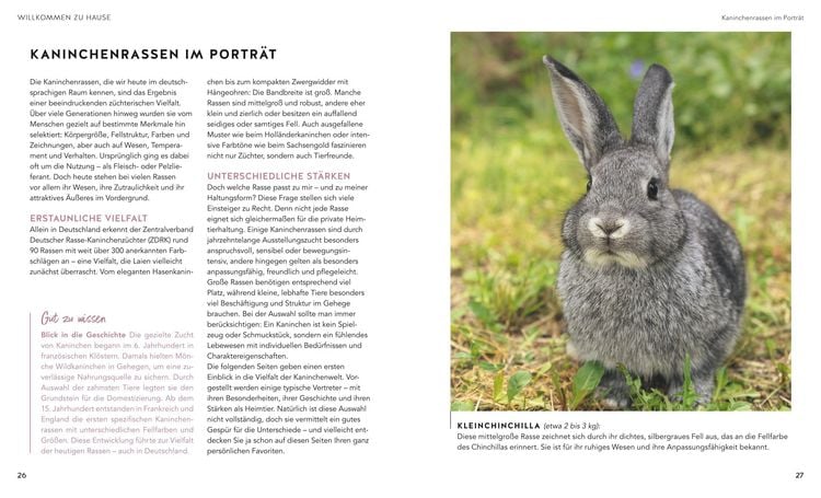 Produktbild: Kaninchen im Au&szlig;engehege