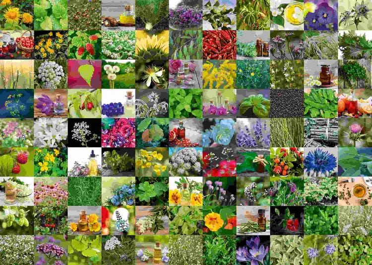 Produktbild: Erwachsenenpuzzle 1000 Teile - 99 Kr&auml;uter und Gew&uuml;rze