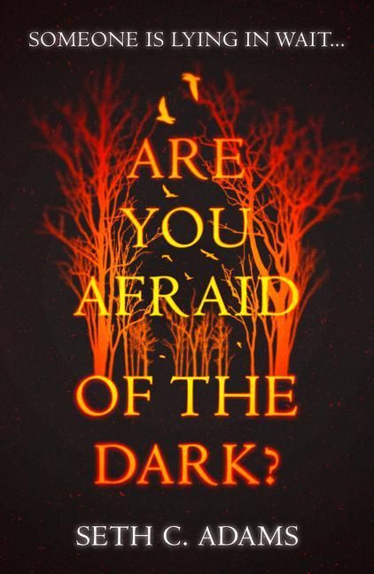 Produktbild: Adams, S: Are You Afraid of the Dark?