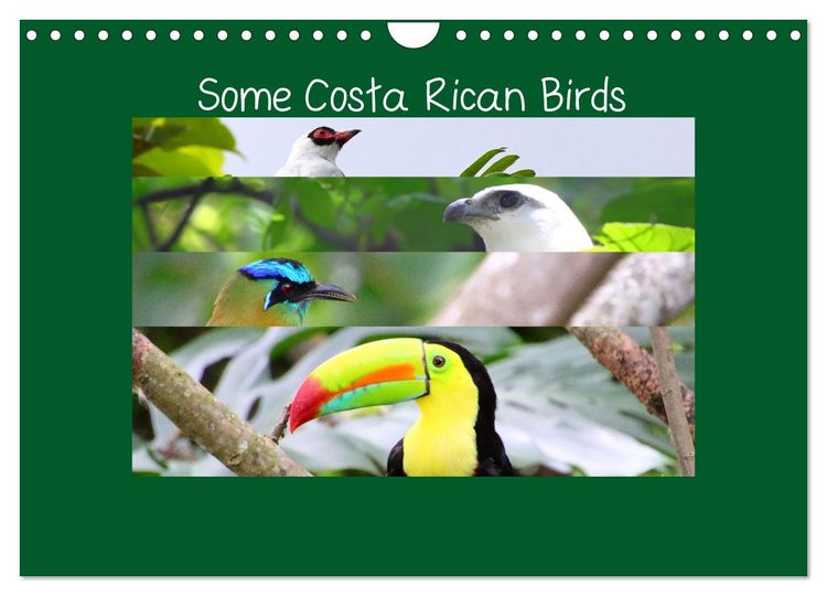 Produktbild: Some Costa Rican Birds (Wall Calendar 2026 DIN A4 landscape), CALVENDO 12 Month Wall Calendar