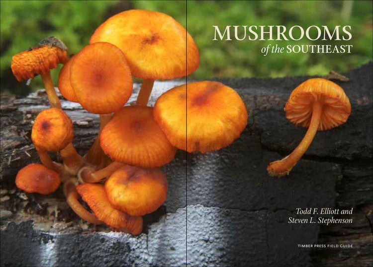 Produktbild: Mushrooms of the Southeast