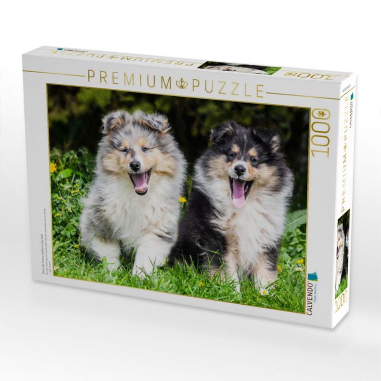 Produktbild: CALVENDO Puzzle Zwei, die hinaus wollen in die Welt | 1000 Teile Lege-Gr&ouml;&szlig;e 64x48cm Foto-Puzzle f&uuml;r gl&uuml;ckliche Stunden