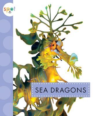 Produktbild: Sea Dragons