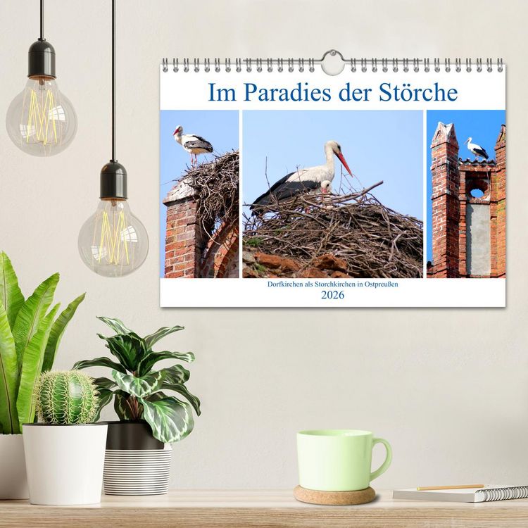Produktbild: Im Paradies der St&ouml;rche - Dorfkirchen als Storchkirchen in Ostpreu&szlig;en (Wandkalender 2026 DIN A4 quer), CALVENDO Monatskalender