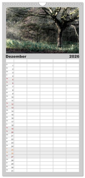 Produktbild: Familienplaner 2026 - Mystische W&auml;lder mit 5 Spalten (Wandkalender, 21 x 45 cm) CALVENDO