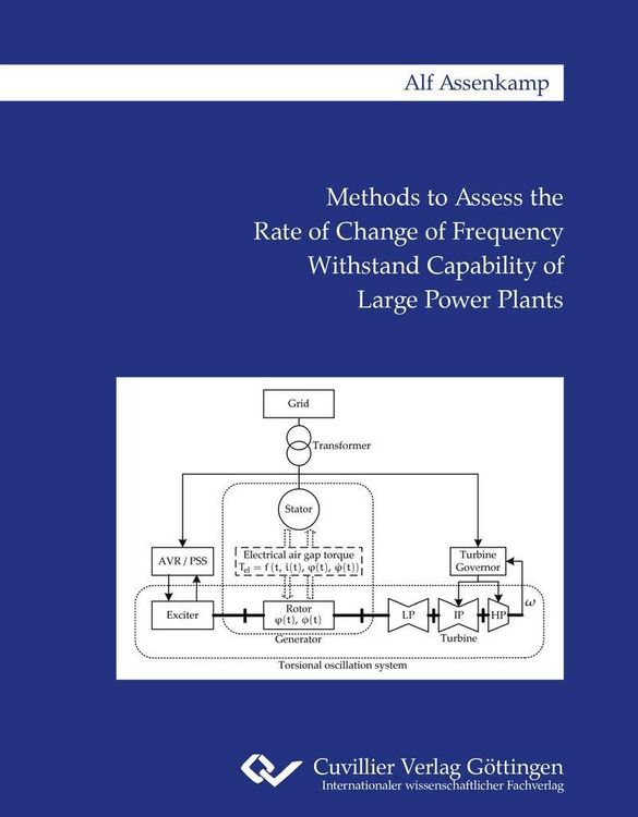 Methods to Assess the Rate of Change of Frequency Withstand Capability of Large Power Plants