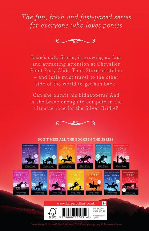 Produktbild: Storm and the Silver Bridle