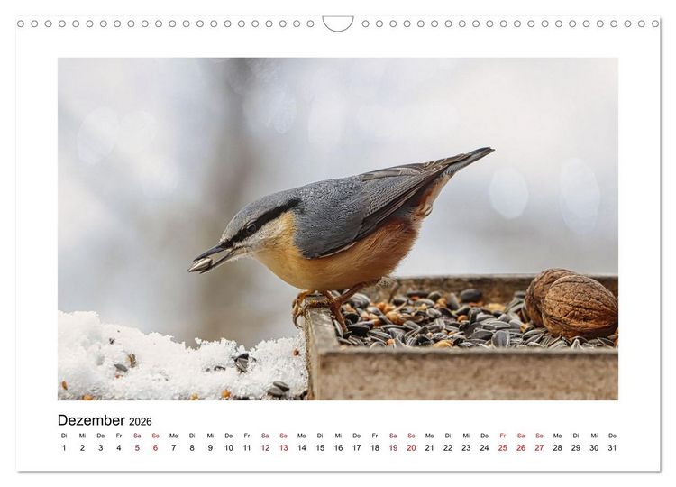 Produktbild: Flinke Kleiber (Wandkalender 2026 DIN A3 quer), CALVENDO Monatskalender