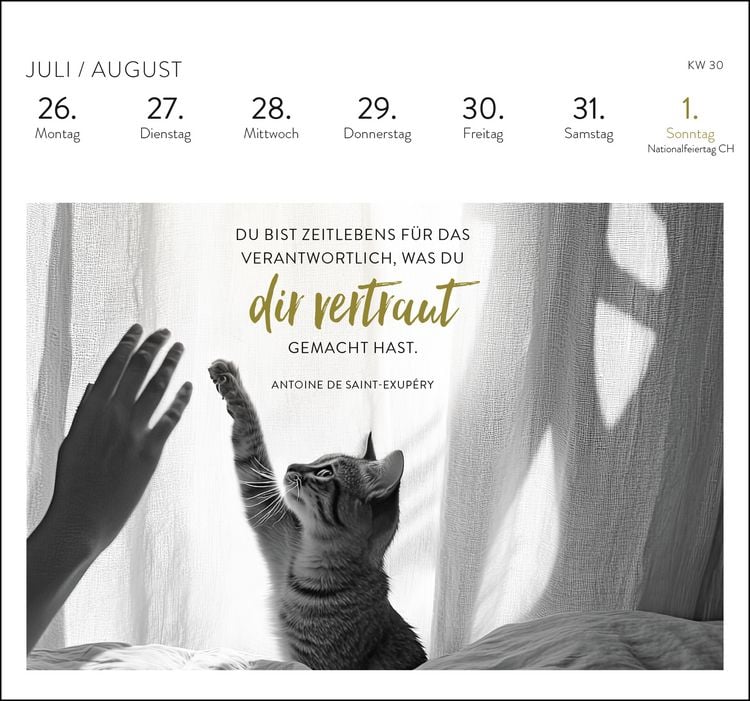 Produktbild: Postkartenkalender 2027: Inspirierende Worte f&uuml;r Katzenfreunde